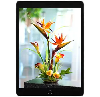 کارکـرده-تبلت 10.2 اینچ اپل مدل (iPad (9th Generation) Wi-Fi (2021